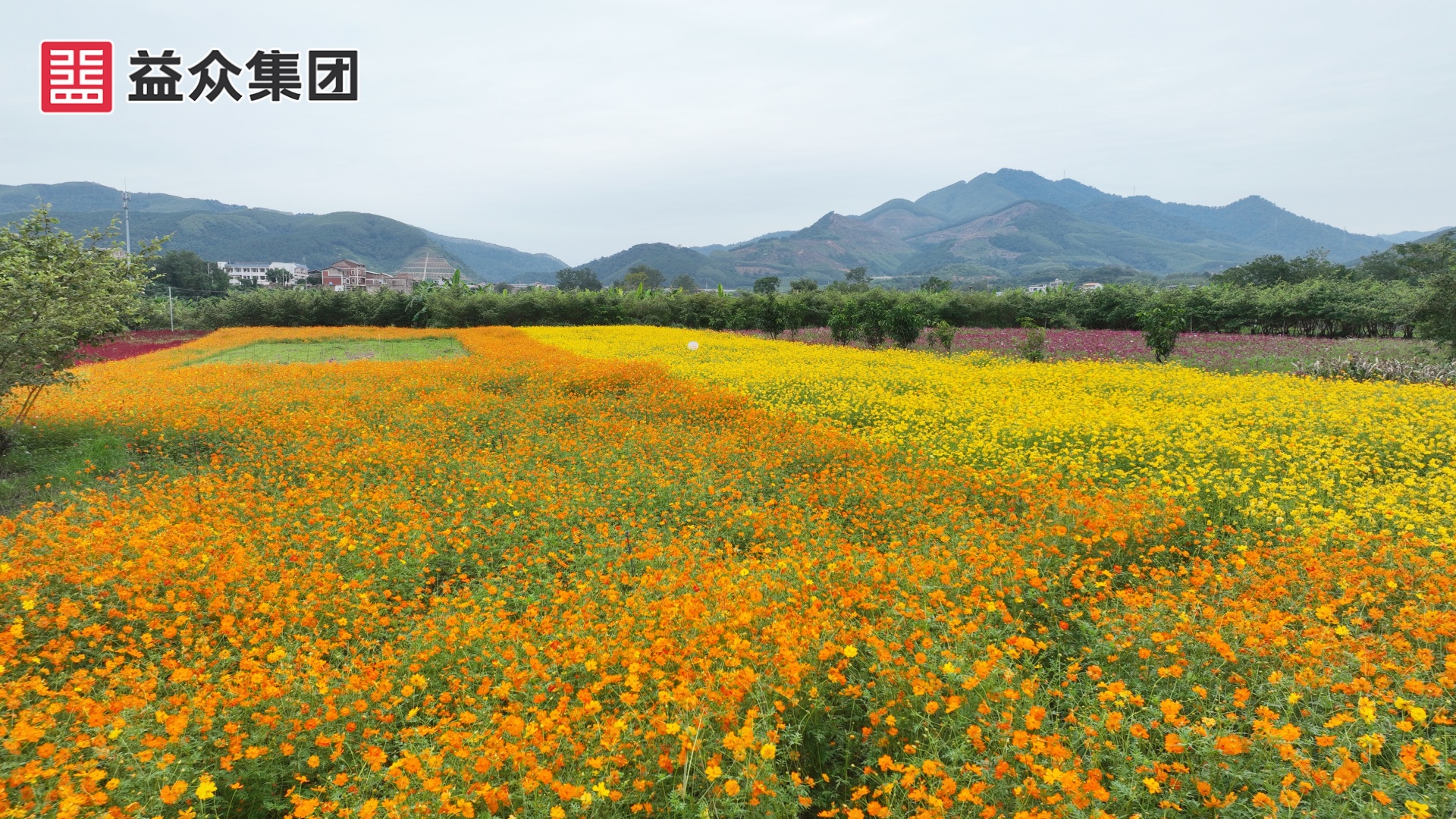 DJI_0290_副本 DJI_0290_副本